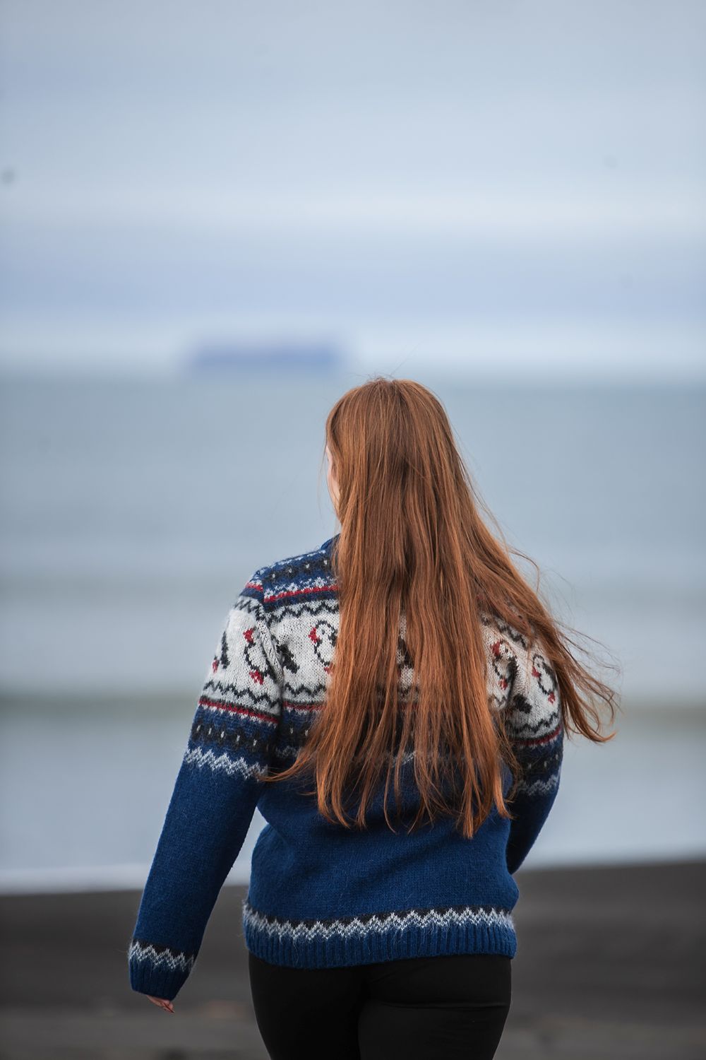 Puffin (Papageitaucher) Wollpullover von KIDKA