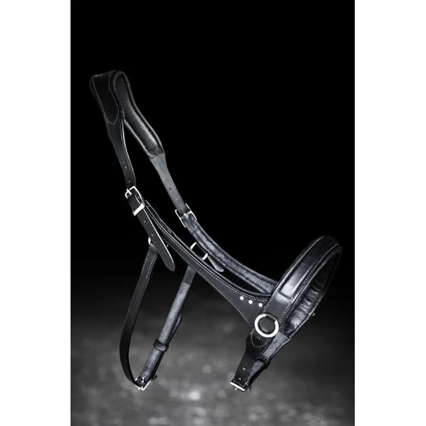 Sidepull mit Steinen von NORDIC HORSE
