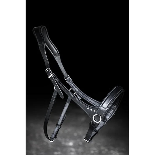 Sidepull mit Steinen von NORDIC HORSE