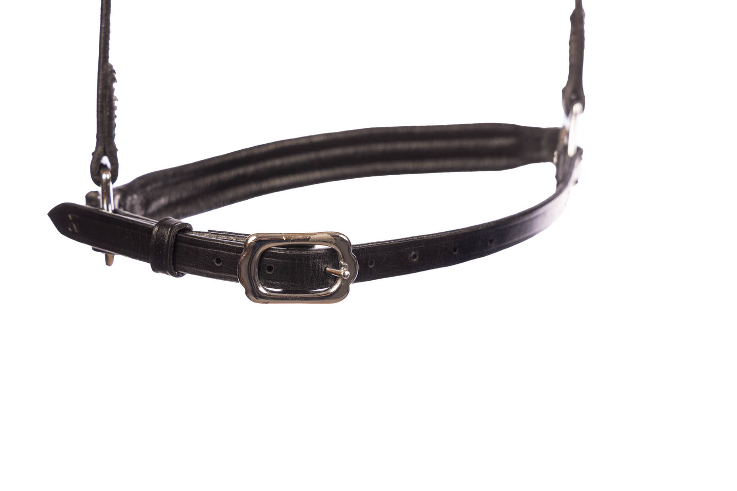 Singula – Hanoverian noseband from EQUES 