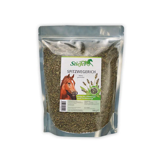 Stiefel Spitzwegerich geschnitten 500 g