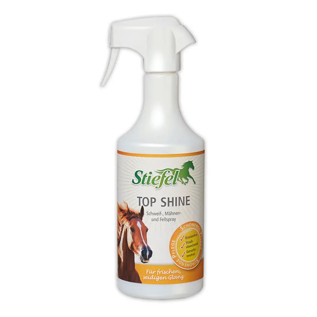 STIEFEL Top Shine